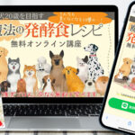 ワンネス発酵アカデミー