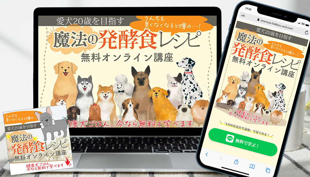 ワンネス発酵アカデミー